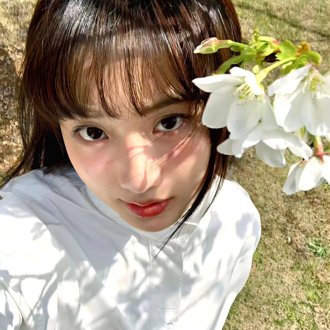 老虎与妙贼