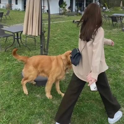 大而不倒